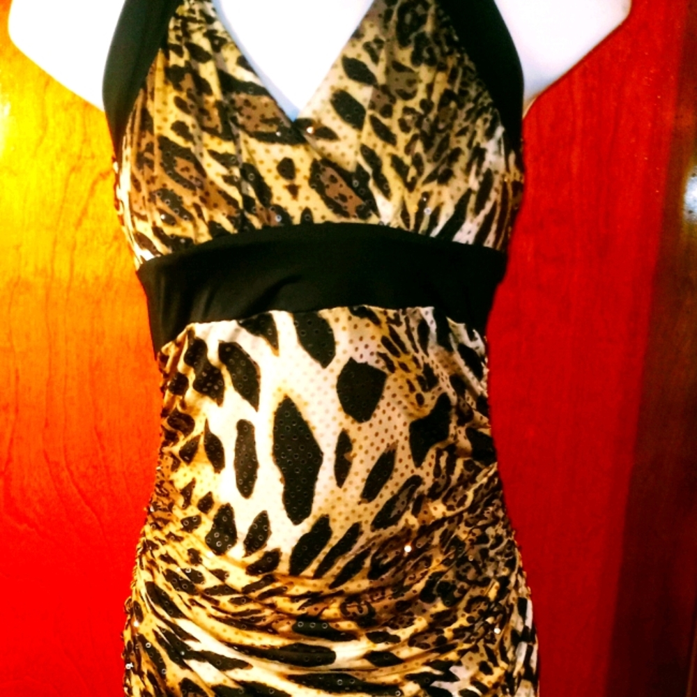 Ladies Dresses